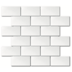 mosaique de mini rectangle 5x10cm blanc brillant sur trame 30x30x0.8cm D mini-manhatiles