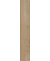 Carrelage imitation parquet clair sans noeud naturel, 30x120cm rectifié, santapwood naturel
