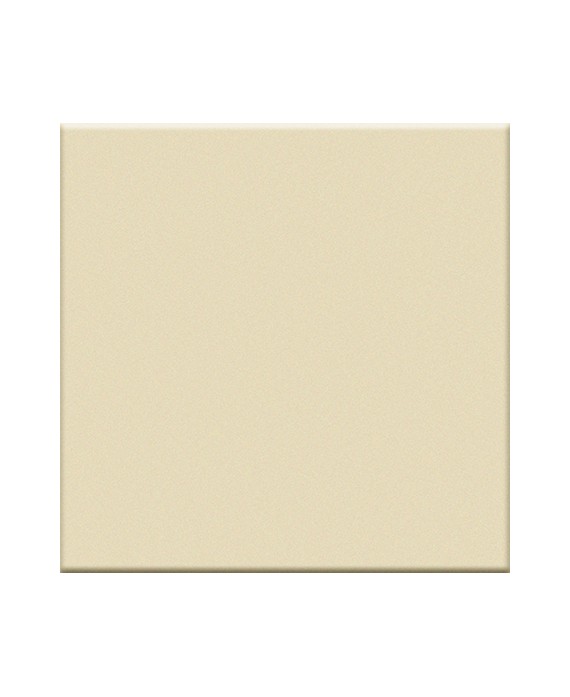 Carrelage beige brillant cuisine salle de bain sol et mur 20x20x0.7cm 20x40x0.85cm 10x20x0.7cm VO seta