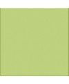 Carrelage vert pistache brillant salle de bain cuisine mur et sol 20x20x0.7cm 20x40x0.85cm 10x20x0.7cm VO pistacchio.