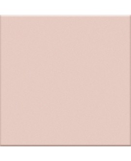 Carrelage rose mat cuisine salle de bain sol et mur 20x20x0.7cm 20x40x0.85cm 10x20x0.7cm VO rosa.