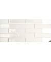 Carrelage grande écaille 15.5x17cm, brique 7.5x20cm blanc nuancé émail craquelé brillant, apedynamic neutro