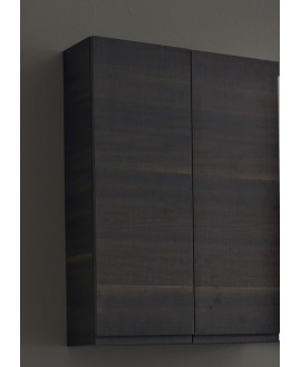 Elément suspendu en bois noir 50x75cm profondeur 20.8cm avec 2 portes et deux plateaux en verre scarphorma