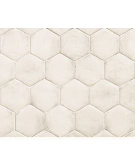 Carrelage blanc brillant sol et mur hexagone 18x20.5cm, barette 7x45cm, carré 11x11cm nattempo rice