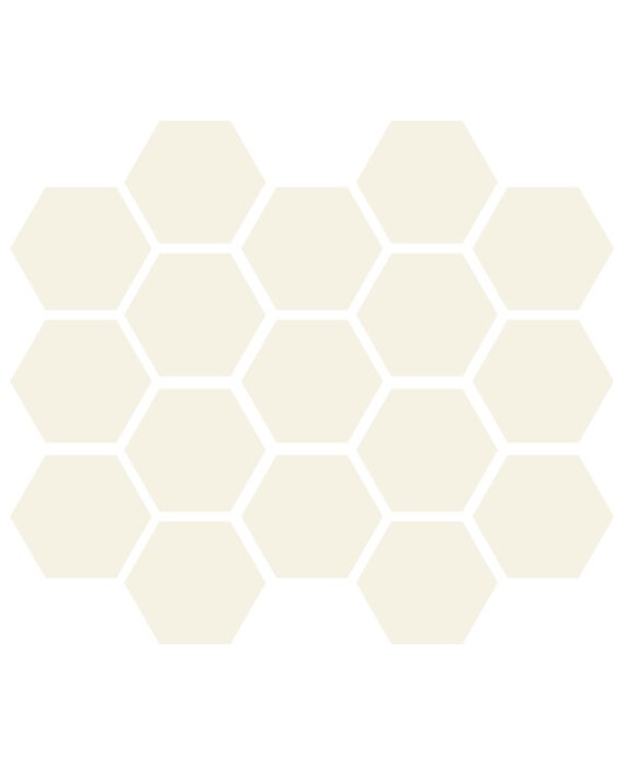 Carrelage hexagonal ivoire mat tomette 10x11cm antirépant R10 apemontmartre ivoire