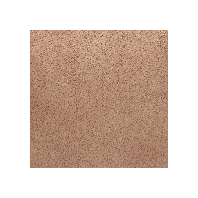 Carrelage imitation terre cuite beige décoré rectifié 60x60cm, 60x120cm, 120x120cm apenisus gobi