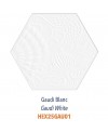 Carrelage décor hexagonal fond blanc satiné décor brillant 25x22cm Dif gaudi blanc