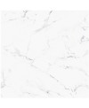 Carrelage imitation marbre blanc veiné de noir mat, sol et mur, 66x66cm et hexagone 22x25cm pasicpisa