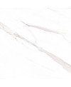 Carrelage émaillé brillant imitation marbre blanc veiné de gris 60.8x60,8cm non rectifié, salle de bain géoluxury blanc