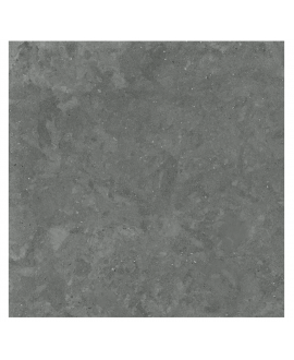 Carrelage imitation béton, résine, pierre mat gris foncé nuancé, XXL 100x100cm rectifié, Porce1859 negro