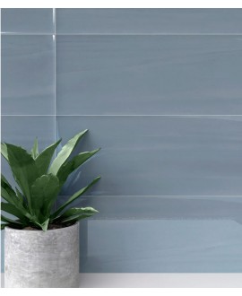 Carrelage brillant épaisseur 8.5mm, mur, bleu 25x75cm savbotanical pigment blue