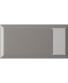 carrelage bisauté métro brillant grigio 10X20 cm