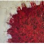Peinture contemporaine, tableau moderne abstrait, acrylique sur toile 100x100cm, big bang rouge sur fond ivoire Peinture contemporaine, tableau moderne abstrait, acrylique sur toile 100x100cm, big bang rouge sur fond ivoire