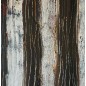 Troncs marron peinture acrylique sur toile 116x89cm Troncs marron peinture acrylique sur toile 116x89cm