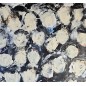 Peinture contemporaine, multitête de près acrylique sur toile 100x100cm, foule en ivoire et noir