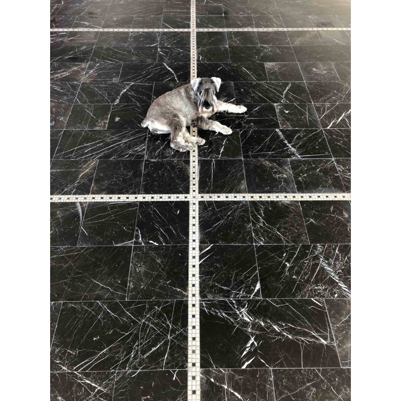 Dalle de marbre veritable noir poli adoucie brillant Dif 30.5x30.5x1cm, sol de la salle de bain Dalle de marbre veritable noir poli adoucie brillant Dif 30.5x30.5x1cm, sol de la salle de bain
