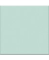 Carrelage vert clair mat de couleur laguna cuisine salle de bain mur et sol 10X10cm grès cérame émaillé VO laguna interni