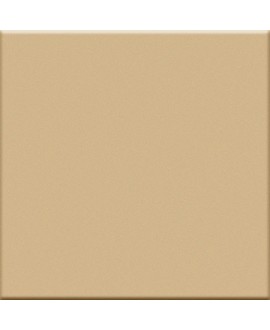 Carrelage beige mat de couleur cuisine salle de bain mur et sol 10X10cm grès cérame émaillé VO beige