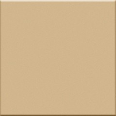 Carrelage beige mat de couleur cuisine salle de bain mur et sol 10X10cm grès cérame émaillé VO beige