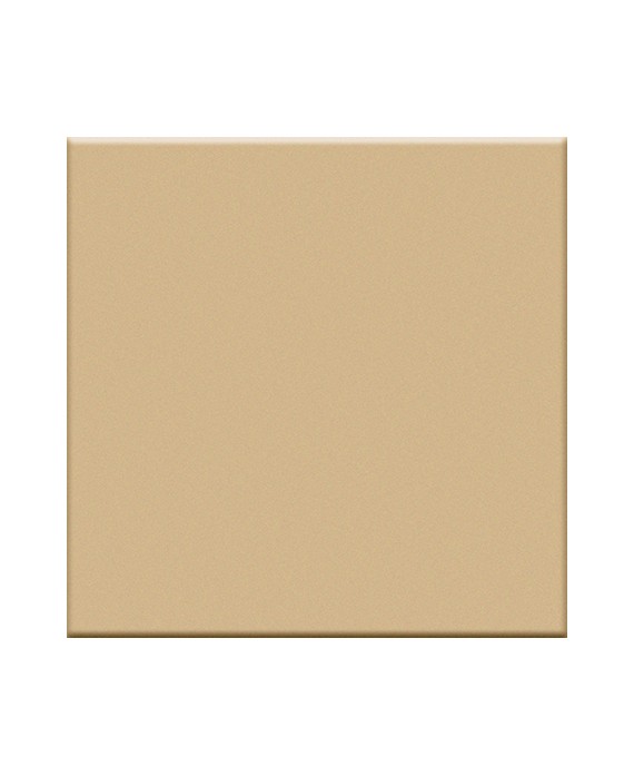 Carrelage beige mat de couleur cuisine salle de bain mur et sol 10X10cm grès cérame émaillé VO beige