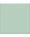 Carrelage vert mat de couleur cuisine salle de bain mur et sol 10X10X0.7cm grès cérame émaillé VOG giada