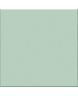 Carrelage vert mat de couleur cuisine salle de bain mur et sol 10X10cm grès cérame émaillé VO giarda
