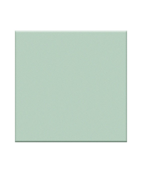 Carrelage vert mat de couleur cuisine salle de bain mur et sol 10X10X0.7cm grès cérame émaillé VOG giada