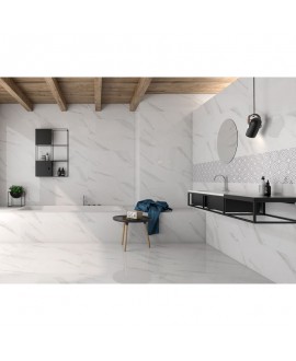 Carrelage imitation marbre blanc veiné mat 60x60cm rectifié, salle de bain géostatuary blanc