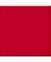 Carrelage antidérapant rouge sol de salle de bain douche 20x20cm 10x10cm 5x5cm sur trame VO RF R10 rouge