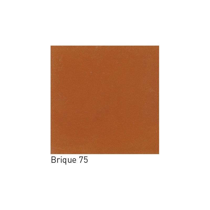 Carrelage ciment rouge brique uni 20x20cm véritable 75