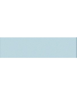 Mosaique rectangulaire mat de couleur azur 5X20cm sur trame