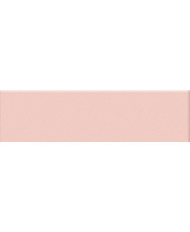 Mosaique rectangulaire mat de couleur rose 5X20cm sur trame