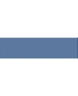 Mosaique rectangulaire mat de couleur blu avio 5X20cm sur trame