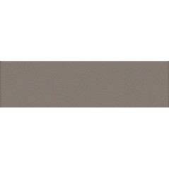 Mosaique rectangulaire mat de couleur grigio 5X20cm sur trame