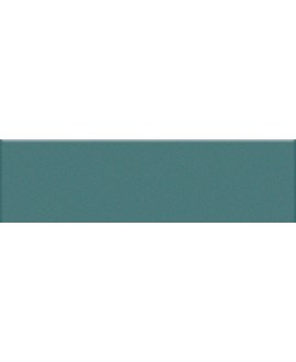 Mosaique rectangulaire mat de couleur turchese 5X20cm sur trame