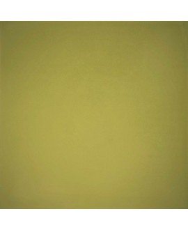 Carrelage ciment vert olive mat 20x20cm véritable 60