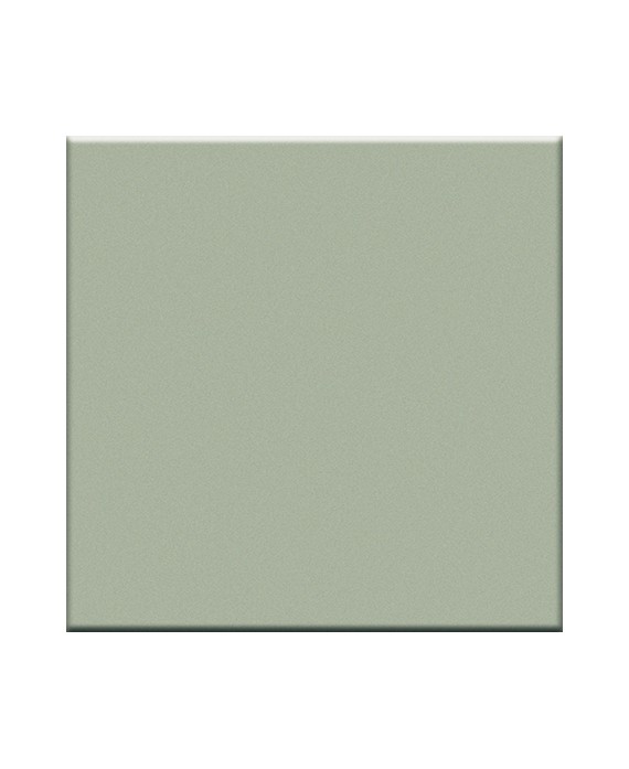 Carrelage mastic mat de couleur cuisine salle de bain mur et sol 10X10cm grès cérame émaillé VO mastic