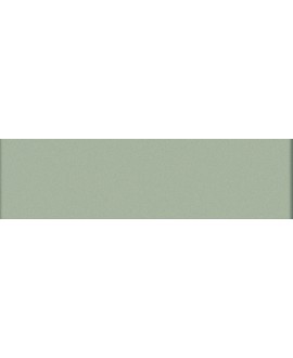 Mosaique rectangulaire mat de couleur mastic 5X20cm sur trame, en grès cérame VO