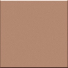 Carrelage brillant beige marron salle de bain mur et sol cuisine épaisseur 7mm 10X10cm VO cipria